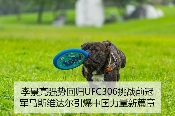 li-jing-liang-qiang-shi-hui-gui-tiao-zhan-qian-guan-jun-ma-si-wei-da-er-yin-bao-zhong-guo-li-liang-xin-pian-zhang-2-750.jpg